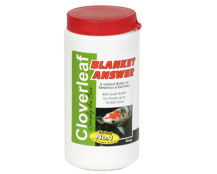 Cloverleaf Blanket Answer 800g - Blanket Weed Solution